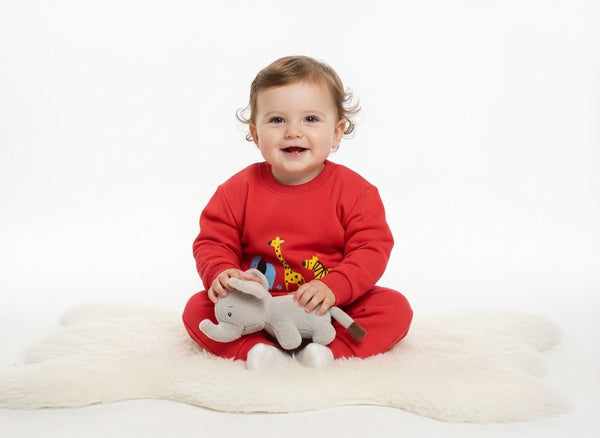 Happy Every Day Baby Sweatshirt